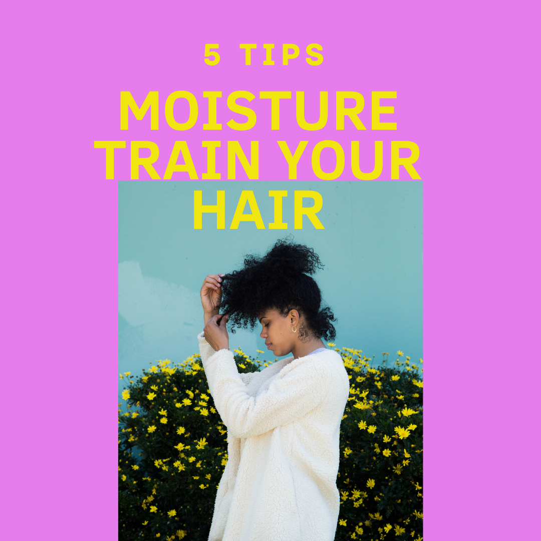 5 Tips to Moisture Train Your Hair